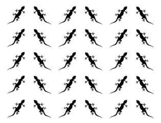 lizard pattern 
