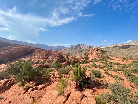 Landscapes In St George, UT