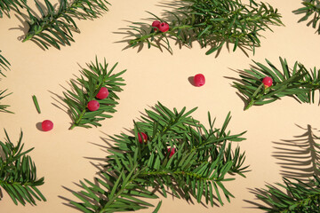Green coniferous branches and berries randomly lie and bring festive mood. Natural beautiful composition.
