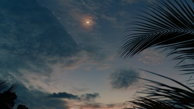 Half moon and stars in the sunset sky. Palm leaves in the foreground. 4K time lapse