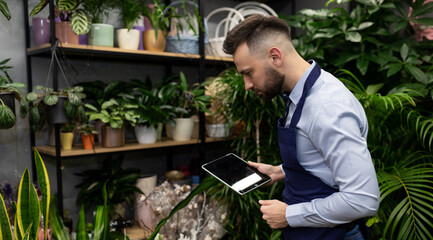 a pot plant grower examines the shelves with fresh flowers