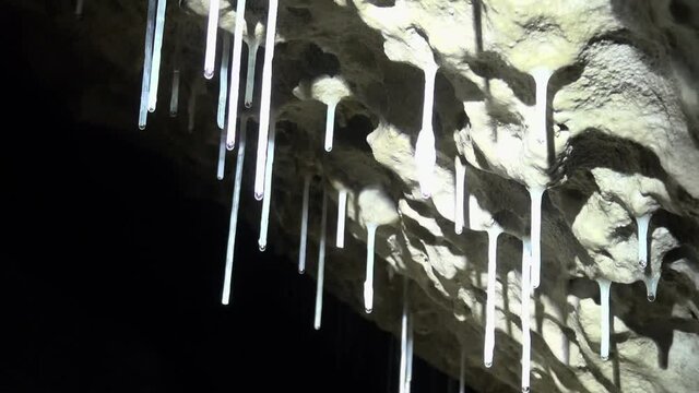 Hollow soda straws and a carrot drip water from ceiling of dark cave