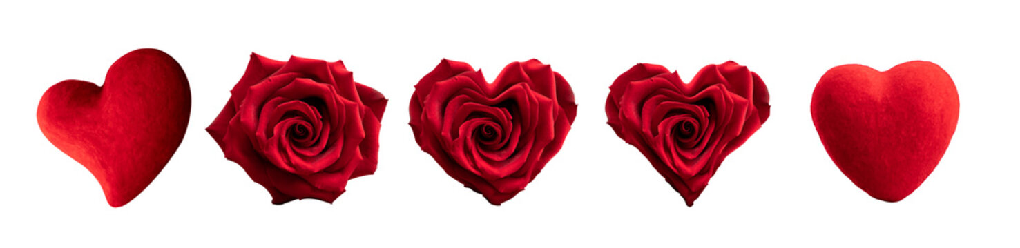 a set of five isolates in the form of a heart , a rosebud and a rose heart on a white background