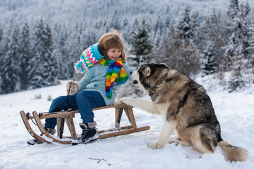 Winter knitted kids clothes. Boy with dog sledding in a snowy forest. Outdoor winter fun for...