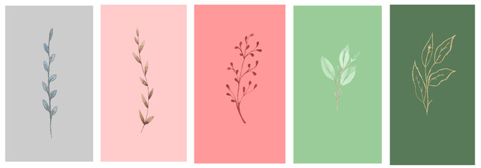 Fototapeta na wymiar A set of five templates with botanical designs in green, beige and brown. Trendy minimalistic flyer, social media post design.