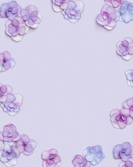Fototapeta na wymiar Natural Hydrangea flower, minimal floral frame violet monochrome colored. Layout with fresh flowers. Spring holiday concept, for Mothers day, 8 March, Womens day.