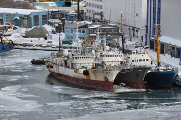 Fishing and trading port in Petropavlovsk-Kamchatsky