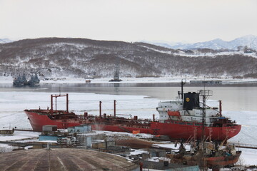 Fishing and trading port in Petropavlovsk-Kamchatsky