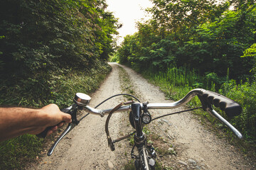 Fototapeta na wymiar Handlebars of a bicycle and trees in the background