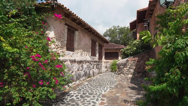 Flower trees in the ancient city with ancient architecture. The stone walls of houses and paved paths are illuminated by the sun. The wooden shutters of the windows save from bright sunlight.