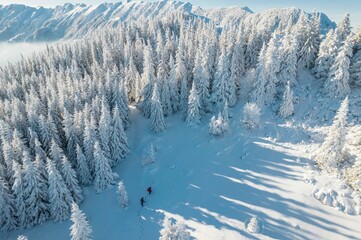 Climbers in winter mountains. Team of hikers were fully equipped for winter mountain climbing....