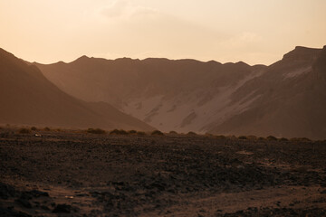 sunset in the desert