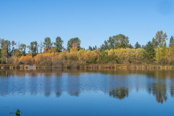 Larsen Lake Blueberry Farm