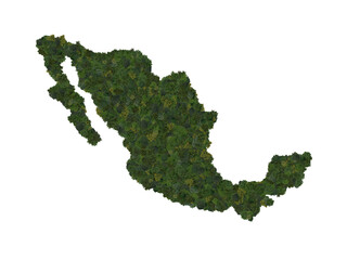 Top view of a forest of trees forming the map of Mexico. Top view. Environmental , Ecology, and...