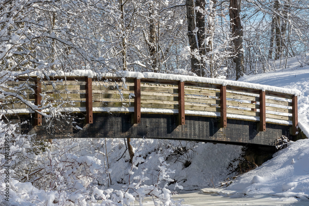 Poster Snowy bridge over a stream in the park