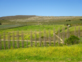 Fototapeta premium rural landscape in the spring time