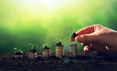  Young plants on coin stacks increase.Seedling are growing with business arrow of growth.Concept of...