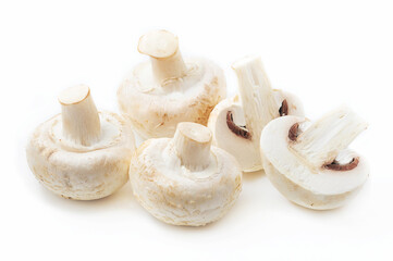 isolated champignons on a white background