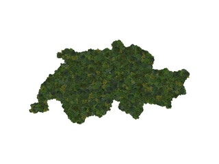 Top view of a forest of trees forming the map of Switzerland. Top view. Environmental , Ecology,...