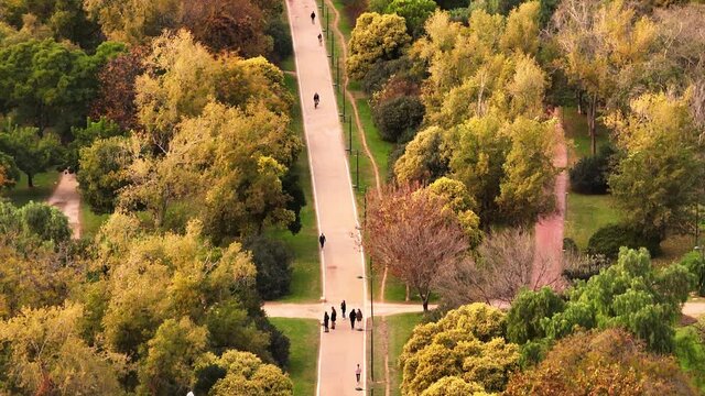 Abundant lush Turia Garden Avinguda Manuel Falla Valencia Spain