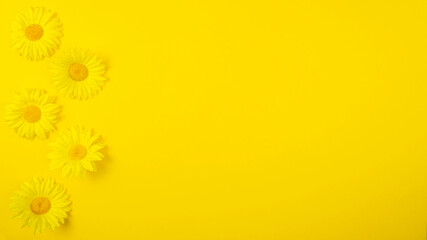 Summer flowers on yellow background. Text space