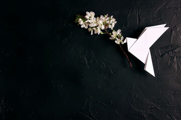 Paper origami dove of peace with apple blossom branch on a black background.