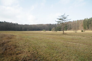 Obraz premium Landschaft bei Tannau