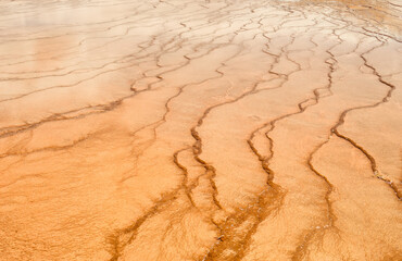 Abstract brown, beige sand background with copy space for text