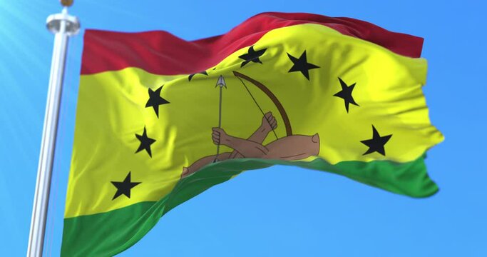Guna Yala Province Flag, Panama. Loop