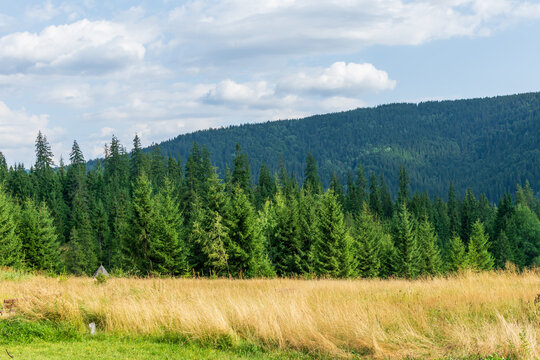 Mountains view as seen from the entrance in fairies garden, Borsec, Romania
