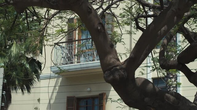 Tel Aviv Real Estate Market