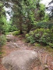 Wanderpfad über Steine