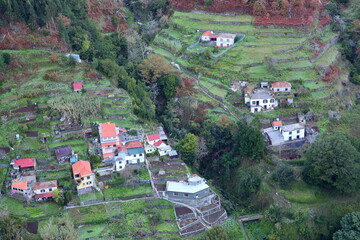 Green terraced fields and houses at Serra de Agua village, viewed from the viewpoint Miradouro...