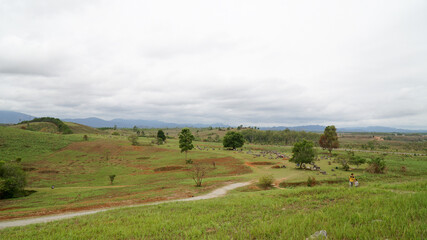 Fototapeta na wymiar The Plain of Jars in Central Laos.