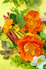 spring flowers and leaves on the yellow background