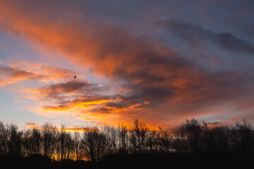 Obraz premium Silhouette of a trees in a park and stunning sunrise cloudy sky with rich, saturated colors. Warm orange and cool blue tone.