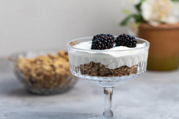 Dessert with yogurt, homemade granola and fresh blackberries, served in trendy patterned clear glass with golden spoon, gray background. Healthy vegan breakfast or snack. Side view, selective focus