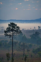 Sunrise at Thung Salaeng Luang National Park with mist in the forest, Phitsanulok and Phetchabun Provinces of Thailand