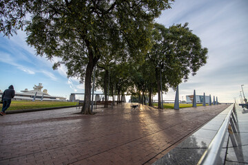 Early morning in the city park near the embankment. People walk with dogs in the park. Sunlight through the trees. Beautiful morning