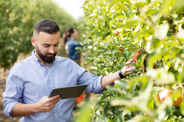 Tech for controlling cultivation of eco fruits, mobile app for gardening