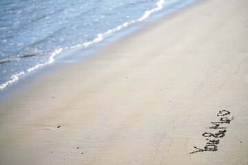 사랑, love, 해변, 바다, 모래사장, 파도, beach, 물가, 모래, 물결, 여름, 연안, 네이처, 열대, 물가, 여행, 휴가, 발자국, 경관, 섬, 해안선, 관광, you, me