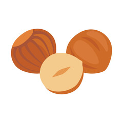 Hazelnut full in shell and open nut. Nut hazel healthy food harvesting. Natural filbert food. Vector illustration