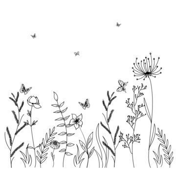 Hand drawn sketch flowers and insects. Black silhouettes of grass, flowers and herbs isolated on white background.