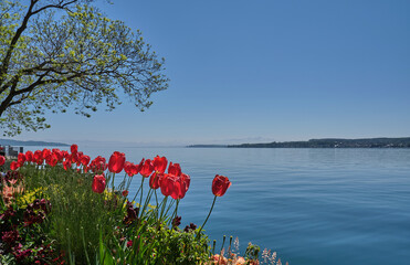 &Uuml;berberlngen am Bodensee, Fr&uuml;hling am Ufer