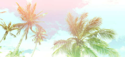 Fototapeta na wymiar Summer theme of Abstracr with palm trees background as texture frame image background