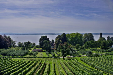 Bodensee bei Hergatz