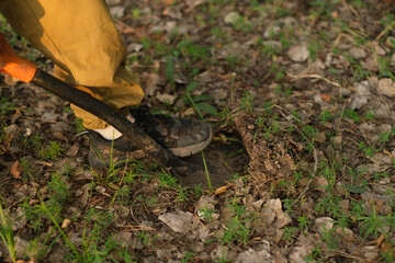 A man with an electronic metal detector in the forest. Outdoor searches. Close-up. A man with a shovel.