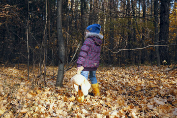 A girl child in autumn clothes walks through the autumn forest strewn with dry leaves. Walk through the woods. He holds a teddy bear in his hands