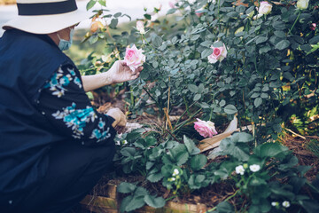 asian old elderly elder woman resting relaxing in rose garden. senior leisure lifestyle