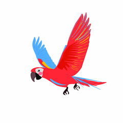 vector parrot in a flat and cartoon style on a white background, vector illustration of a bird